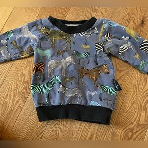 Zebra sweatshirt from Etsy